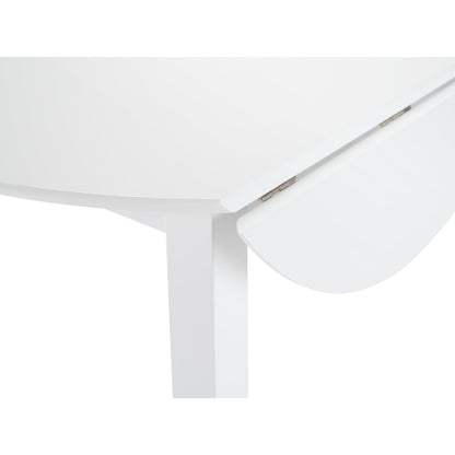 Coast Dropleaf Table